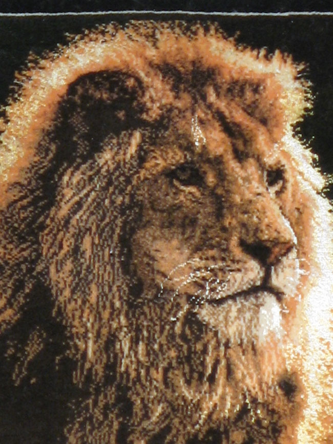 Modern Tabriz Pictorial Rug, No.11867 - Gss