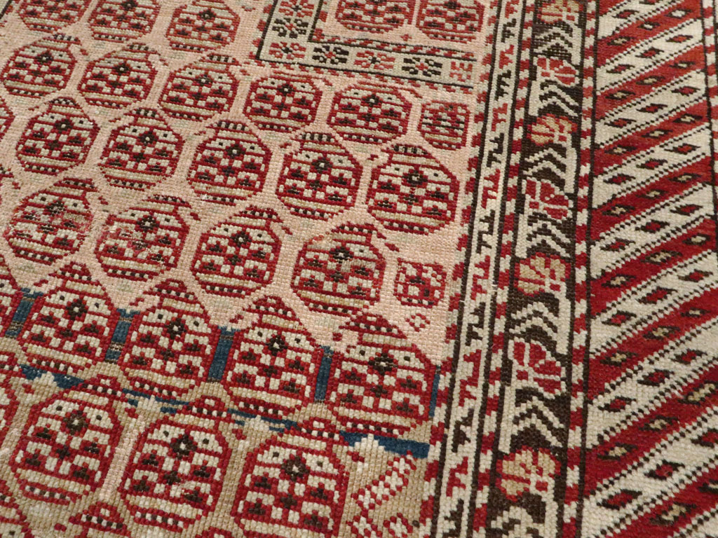 Antique Caucasian Shirvan Rug, No.20257 - Gss