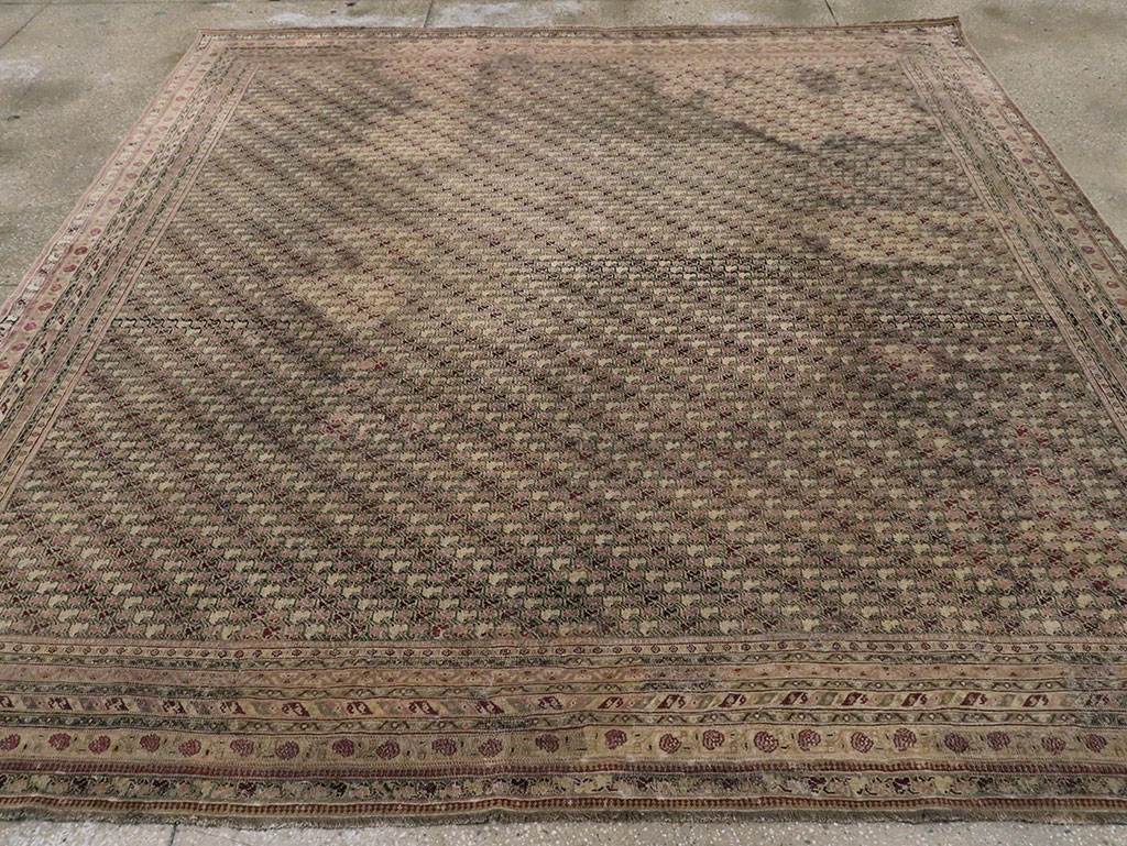 Antique Indian Agra Square Carpet, No.8541 - Gss