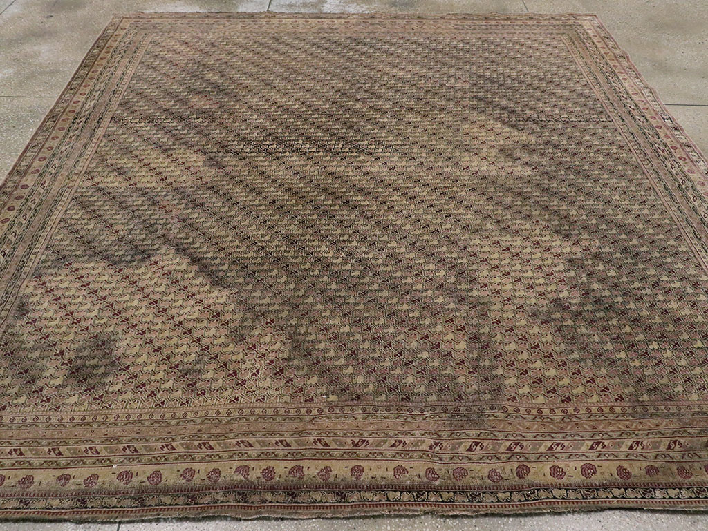 Antique Indian Agra Square Carpet, No.8541 - Gss