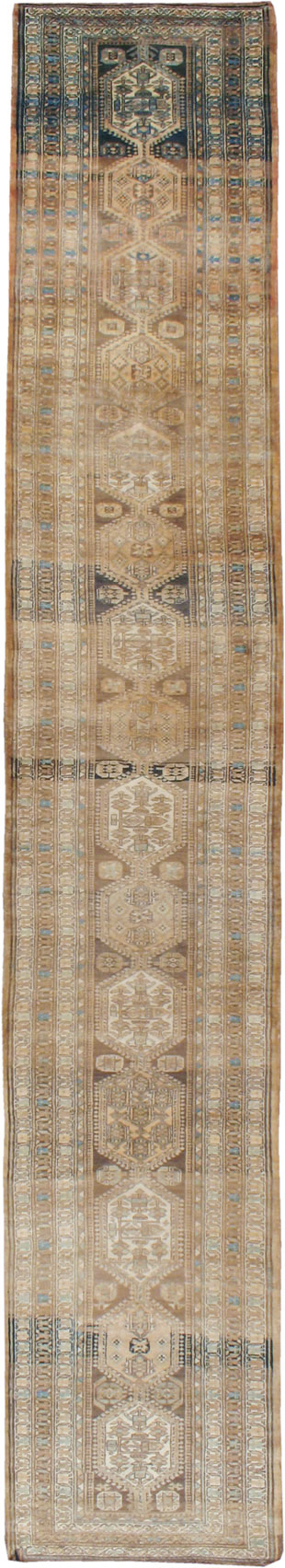 A Serab Runner, No.9482 - Gss