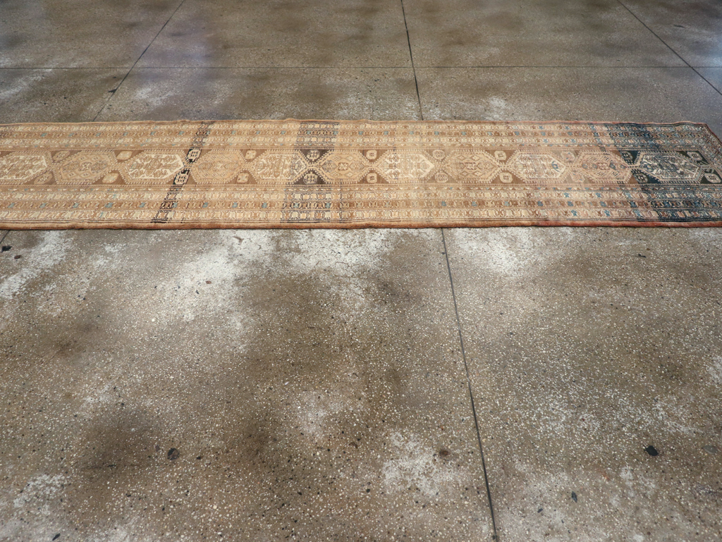 A Serab Runner, No.9482 - Gss