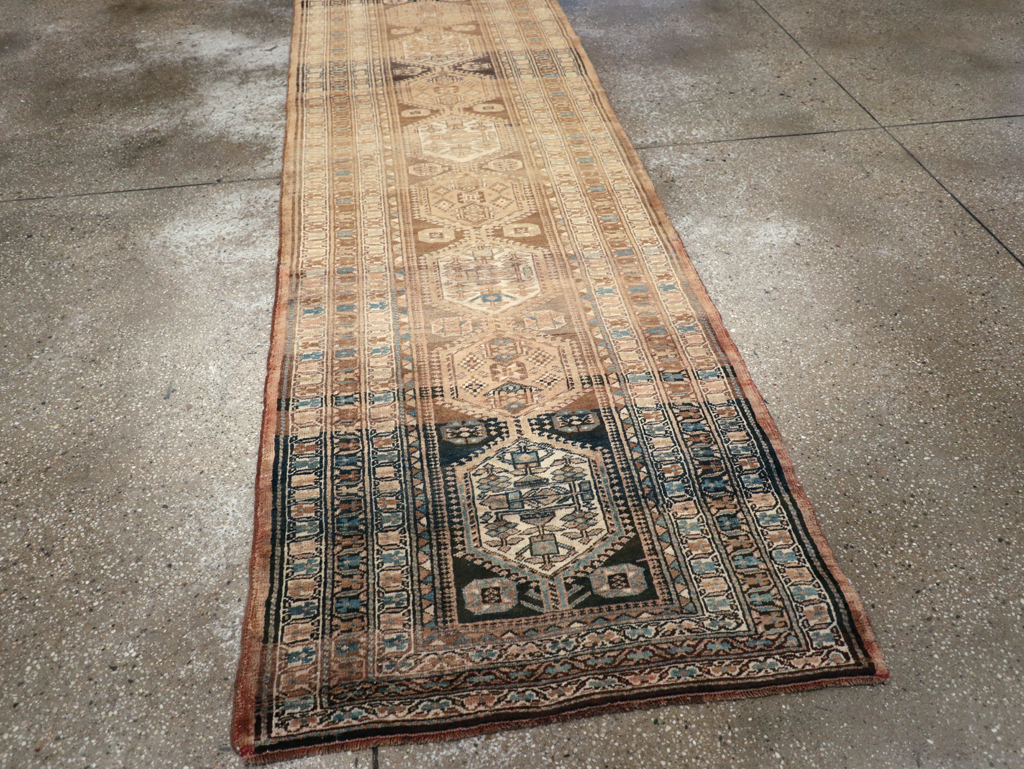 A Serab Runner, No.9482 - Gss